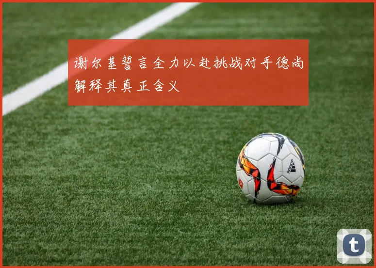 谢尔基誓言全力以赴挑战对手德尚解释其真正含义