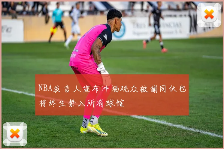 NBA发言人宣布冲场观众被捕同伙也将终生禁入所有球馆
